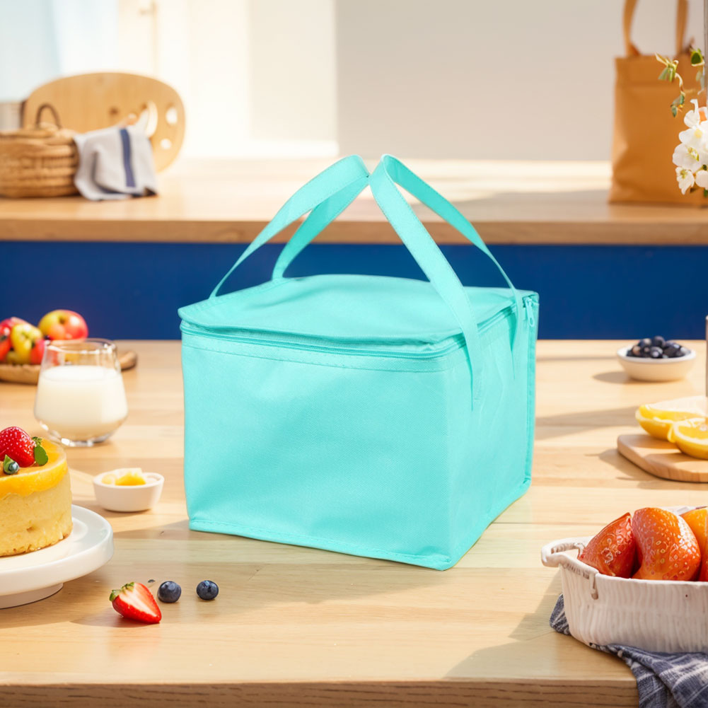 Food Pizza Delivery Insulated  - Outdoor Camping Meals 评论和价格