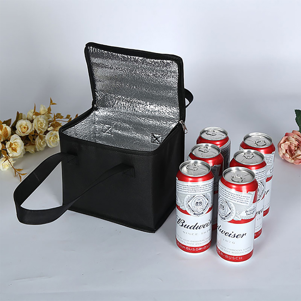 Portable Lunch Cooler Bag Insu - Outdoor Camping Meals 评论和价格